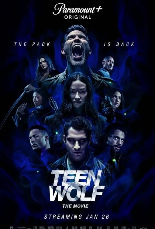 Series artwork in the 4K IPTV USA catalog 7